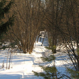 IMG 0377 1