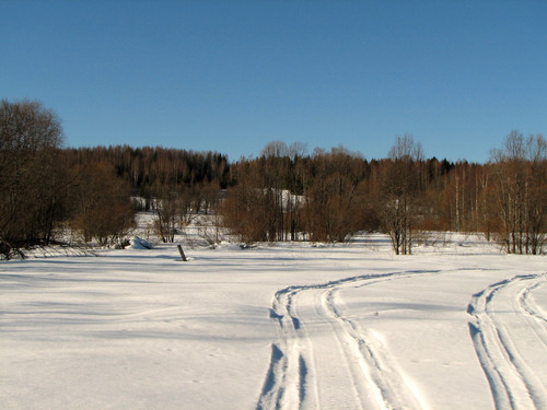 IMG 0381 1.jpg
