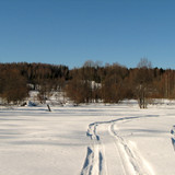 IMG 0381 1