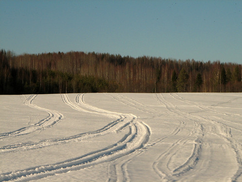 IMG 0396 1.jpg