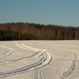 IMG 0396 1