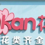 dakan花店