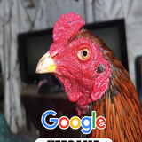 V77GAME Situs Penyedia Rtp Slot Gacor Jam Berapa Resmi Tersedia Langsung Cek Dapatkan Maxwin Dengan .png