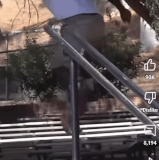 AISelect 20250405 061122.gif