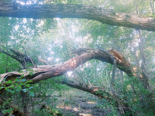 IMG 20240828 094316.jpg