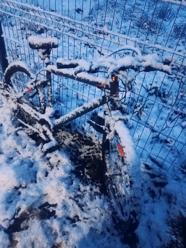 IMG 20231125 165257.jpg