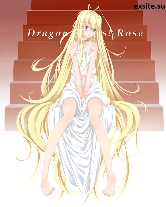 Dragon Crisis! (Sezon 1) (2011) PL.WEB-DL.720p.x264-zyl / Napisy PL