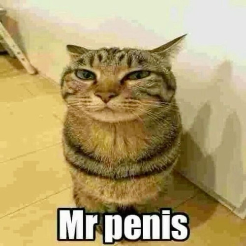 401f008f 89e3 4084 b847 1b05c6ec2ec2.jpg