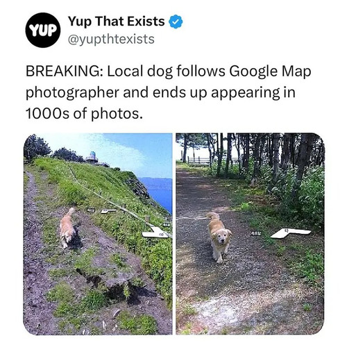 img 1 1746914013816.jpg