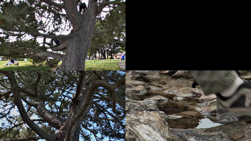 vlcsnap 2025 05 12 23h10m48s250.png