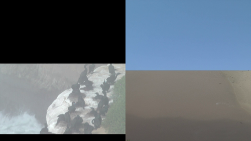 vlcsnap 2025 05 12 23h03m22s178.png