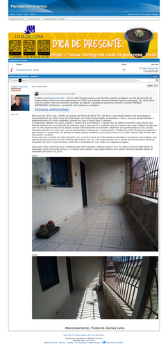 https://plantasexperimentos.proboards.com/post/170 (https://archive.ph/8FPyr).png