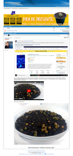https://plantasexperimentos.proboards.com/post/140 (https://archive.ph/IizcK).png