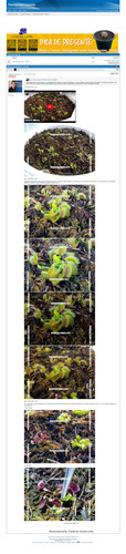 https://plantasexperimentos.proboards.com/post/27 (https://archive.ph/JRJuI).jpg