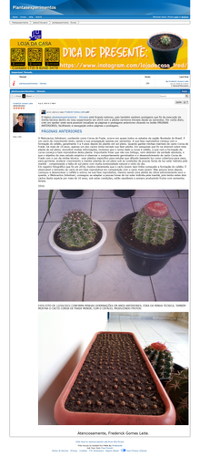 https://plantasexperimentos.proboards.com/post/178 (https://archive.ph/Mauba).png