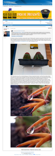 https://plantasexperimentos.proboards.com/post/179 (https://archive.ph/AotZb).png