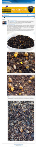 https://plantasexperimentos.proboards.com/post/187 (https://archive.ph/dS8BU).jpg