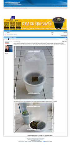 https://plantasexperimentos.proboards.com/post/71 (https://archive.ph/ymGTZ).png