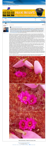 https://plantasexperimentos.proboards.com/post/232 (https://archive.ph/osewt).png