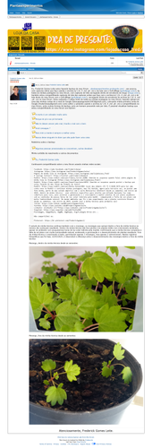 https://plantasexperimentos.proboards.com/post/12714 (https://archive.ph/biFpR).png