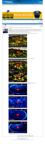 https://plantasexperimentos.proboards.com/post/111 (https://archive.ph/JDXhN).png