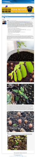 https://plantasexperimentos.proboards.com/post/563 (https://archive.ph/QA3Xl).jpg