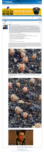 https://plantasexperimentos.proboards.com/post/564 (https://archive.ph/uuqnI).png