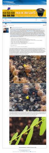 https://plantasexperimentos.proboards.com/post/572 (https://archive.ph/JopBM).png