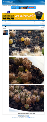 https://plantasexperimentos.proboards.com/post/146 (https://archive.ph/8YyCN).png