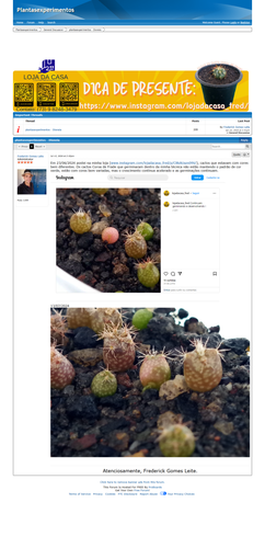 https://plantasexperimentos.proboards.com/post/149 (https://archive.ph/mPSQa).png