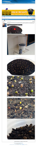 https://plantasexperimentos.proboards.com/post/153 (https://archive.ph/c9cFz).jpg