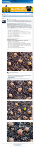 https://plantasexperimentos.proboards.com/post/1196 (https://archive.ph/xPuw0).jpg