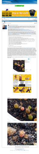 https://plantasexperimentos.proboards.com/post/1197 (https://archive.ph/KD9JG).png