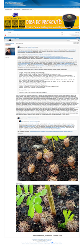 https://plantasexperimentos.proboards.com/post/1148 (https://archive.ph/UkPUh).png