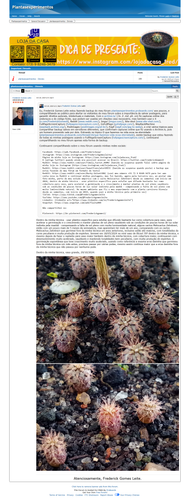 https://plantasexperimentos.proboards.com/post/1329 (https://archive.ph/Q0CdN).png