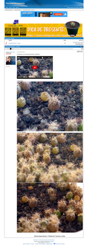 https://plantasexperimentos.proboards.com/post/148 (https://archive.ph/XcyqO).png
