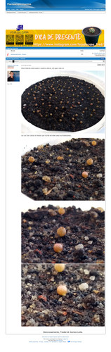 https://plantasexperimentos.proboards.com/post/156 (https://archive.ph/q0wSW).jpg