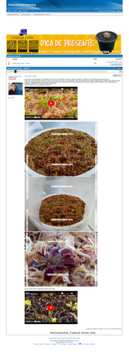 https://plantasexperimentos.proboards.com/post/31 (https://archive.ph/nmn7r).png