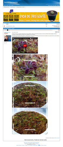 https://plantasexperimentos.proboards.com/post/35 (https://archive.ph/prH8P).png