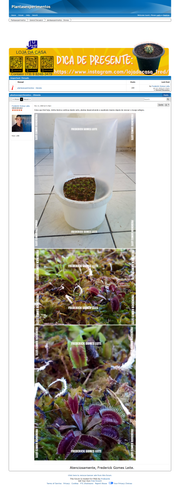 https://plantasexperimentos.proboards.com/post/38 (https://archive.ph/1THKR).png