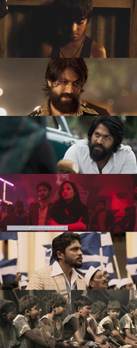 InCollage 20250512 160916723.png