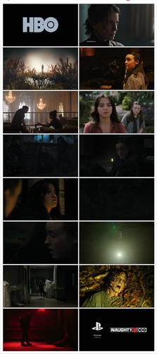 IMG 20250512 161957.jpg