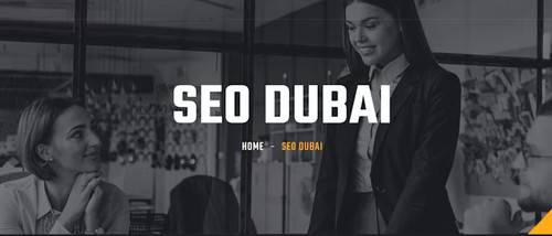 seo dubai.jpg