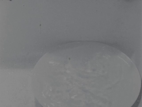vlcsnap 2025 05 12 19h24m52s180.png