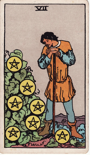 minor arcana pentacles 7.png
