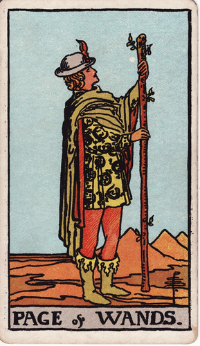 minor arcana wands page.png