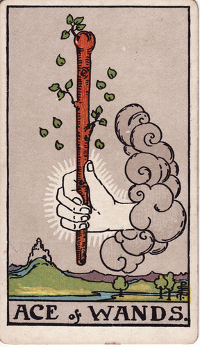 minor arcana wands ace.png
