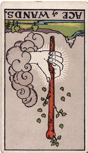 minor arcana wands ace.png