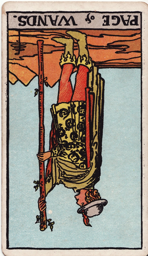 minor arcana wands page.png