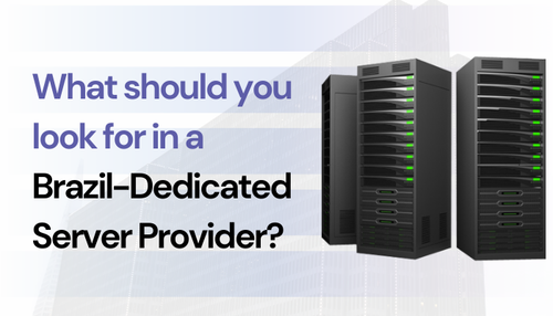 What Should you Look for in a Brazilian Dedicated Server Provider.png